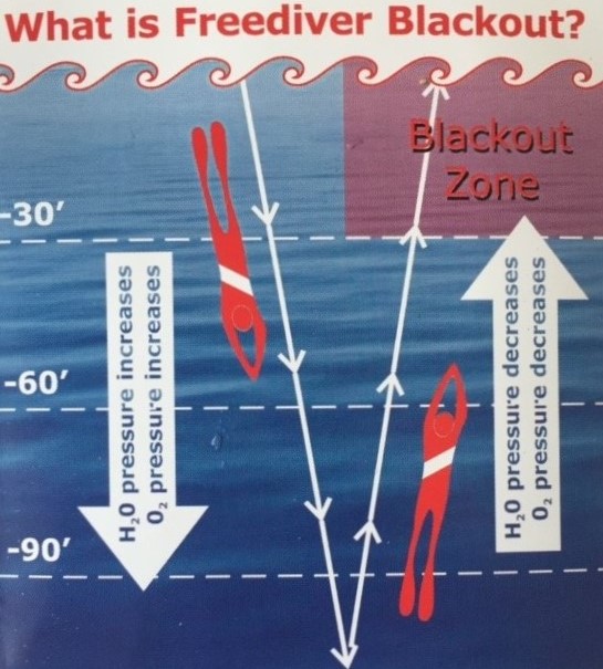 Freediving Diagram